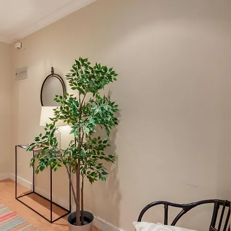 Magnifico Apartamento En El Centro Lägenhet *